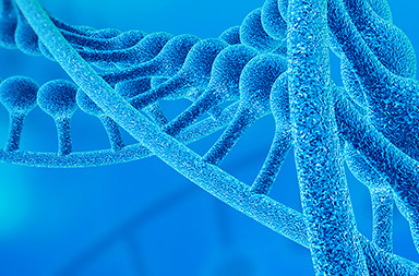 英文網(wǎng)站建設(shè),外貿(mào)網(wǎng)站設(shè)計(jì)